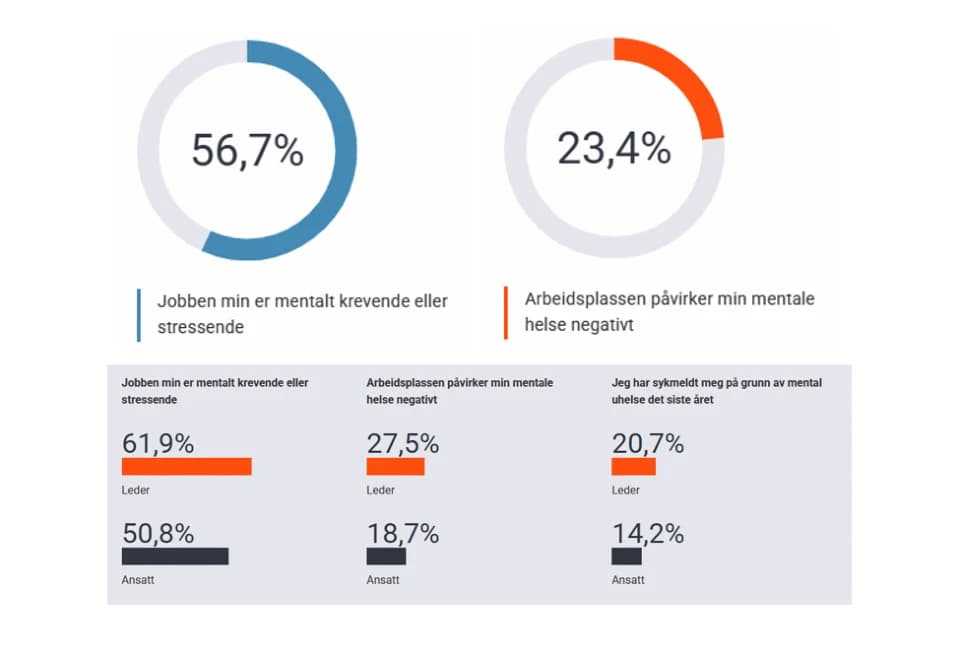 Funn fra undersøkelsen i grafer